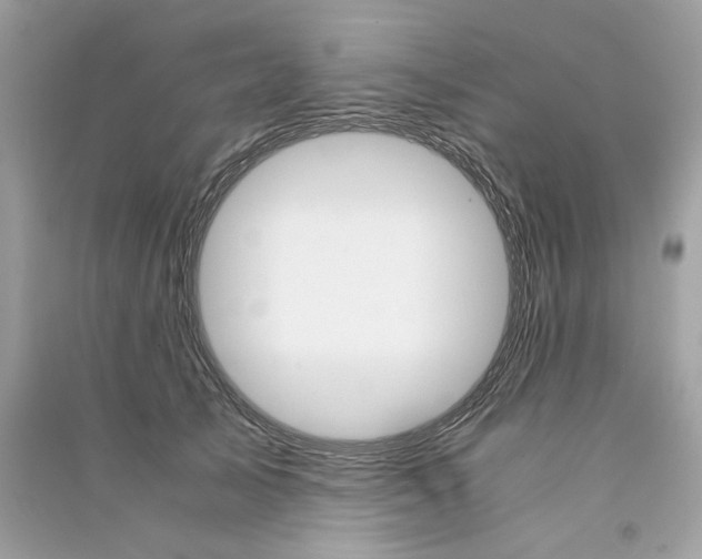 X0000090740705200708101703