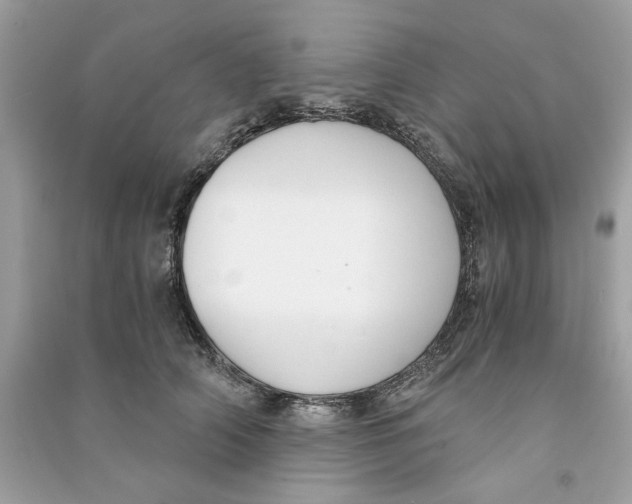 X0000090740706200708101703