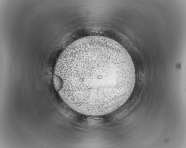 X0000090740707200708101703