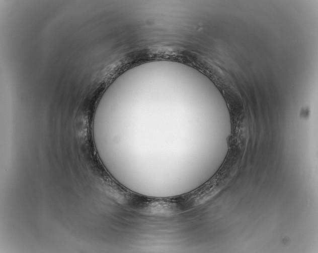 X0000090740708200708101703