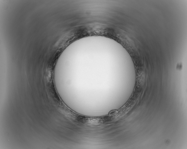 X0000090740709200708101703