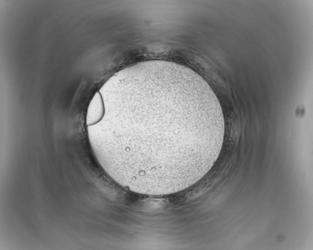 X0000090740711200708101703