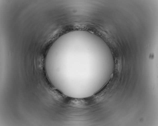 X0000090740712200708101703