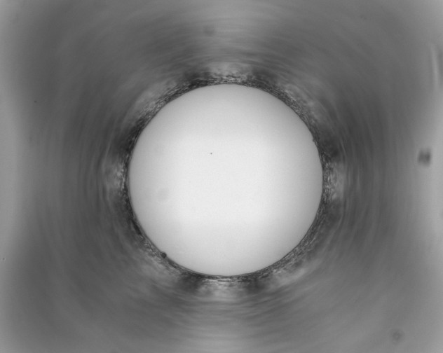 X0000090740713200708101703