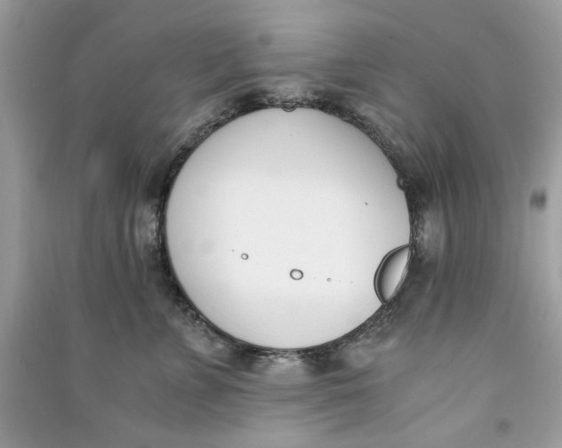 X0000090740715200708101703