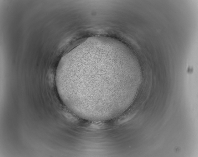 X0000090740720200708101703