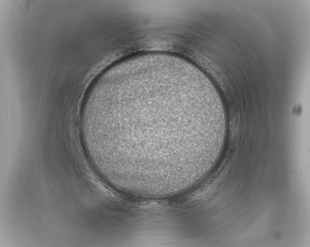 X0000090740721200708101702