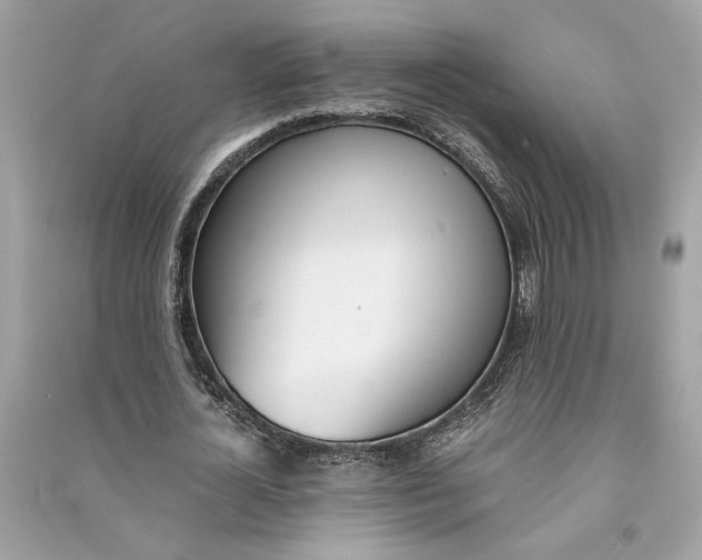 X0000090740724200708101702