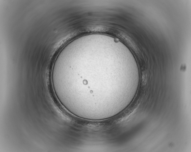 X0000090740725200708101702