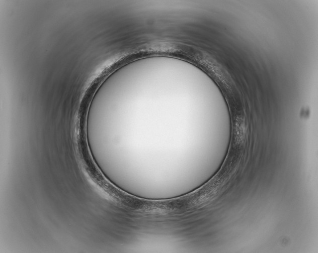 X0000090740726200708101702