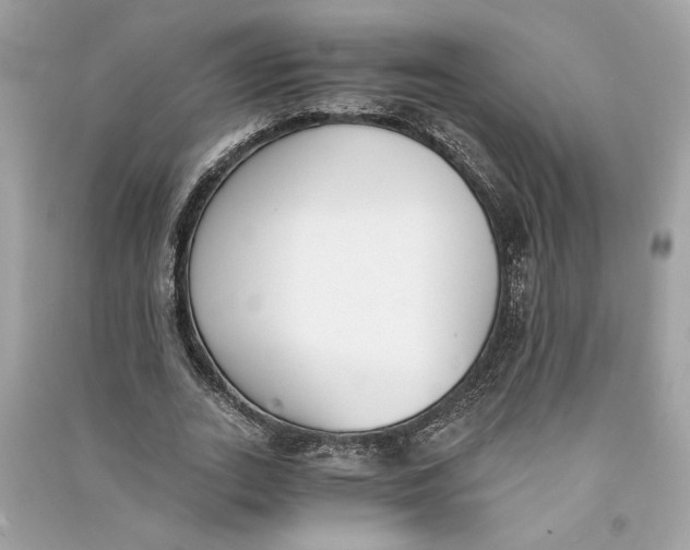 X0000090740727200708101702