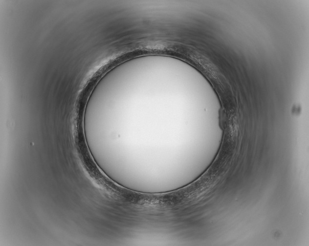 X0000090740728200708101702