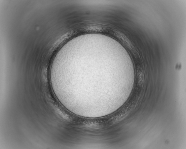 X0000090740729200708101702