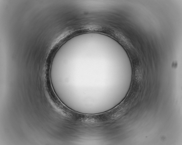 X0000090740730200708101702