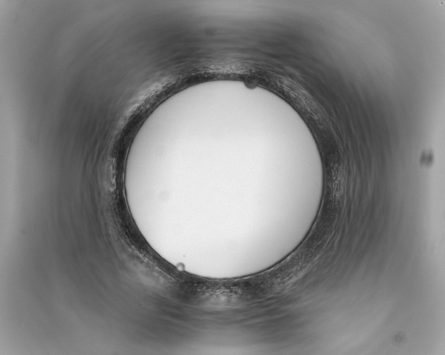 X0000090740731200708101702