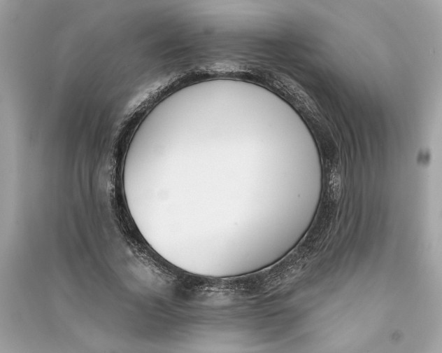 X0000090740732200708101702