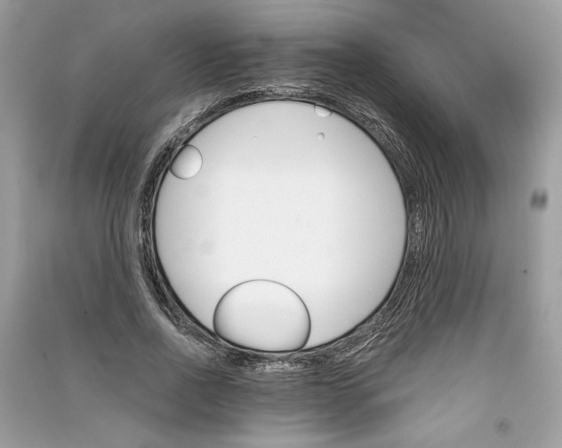 X0000090740734200708101702