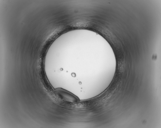 X0000090740735200708101702