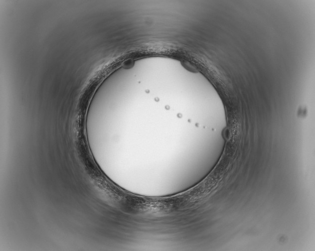 X0000090740736200708101702