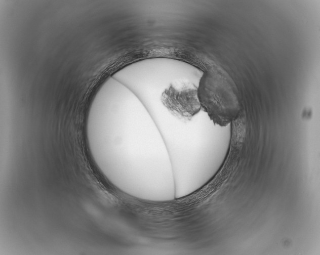 X0000090740737200708101702