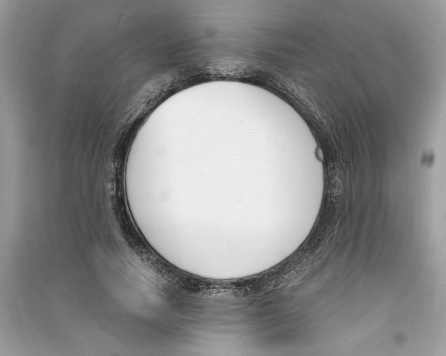 X0000090740738200708101702