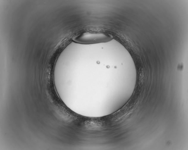 X0000090740739200708101702