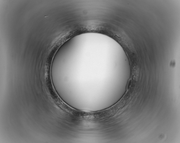 X0000090740740200708101702