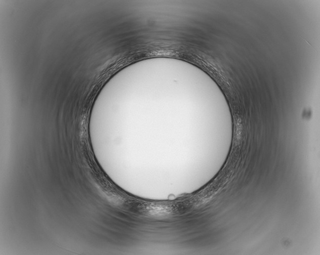 X0000090740741200708101702