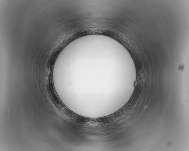 X0000090740742200708101702