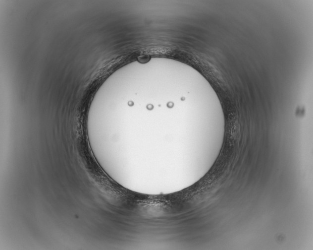 X0000090740743200708101702