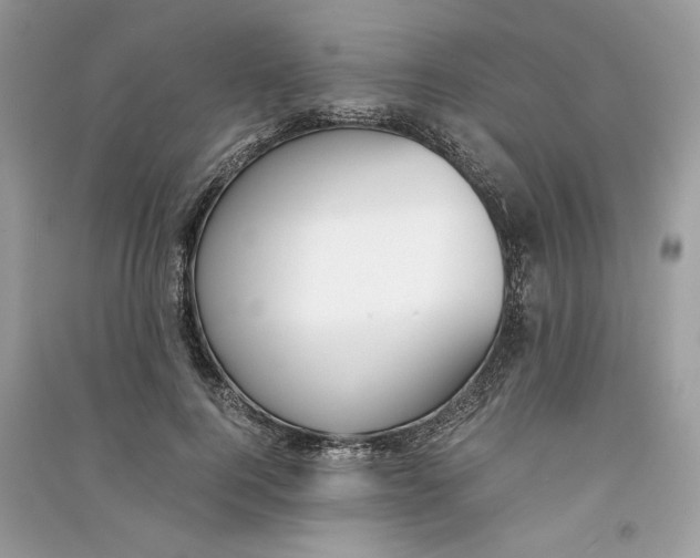 X0000090740744200708101702