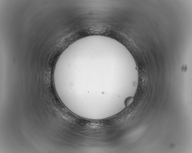 X0000090740745200708101702