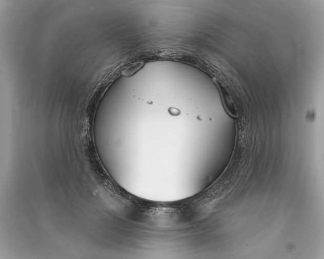 X0000090740748200708101702