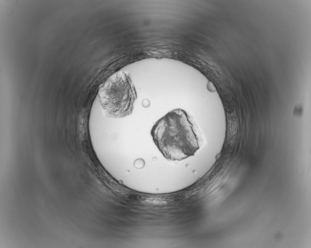 X0000090740749200708101702