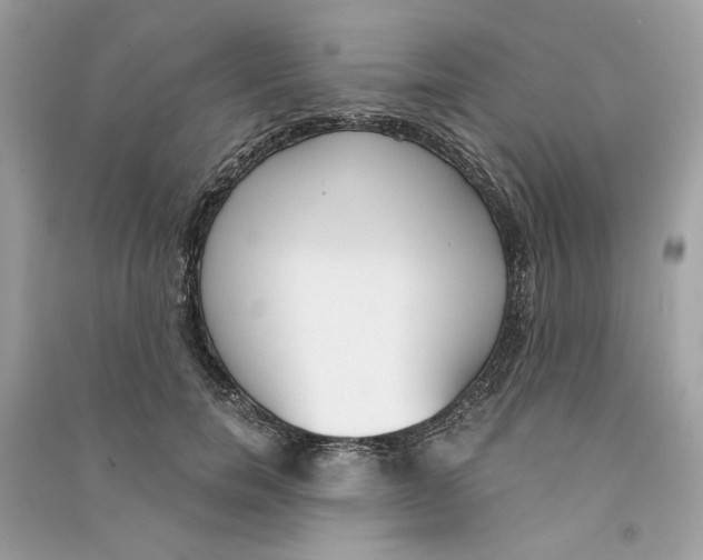 X0000090740750200708101702