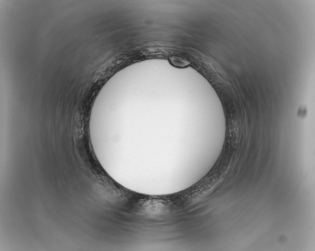 X0000090740751200708101702