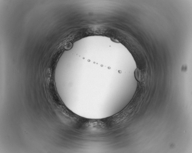 X0000090740752200708101702