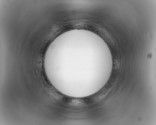 X0000090740753200708101702