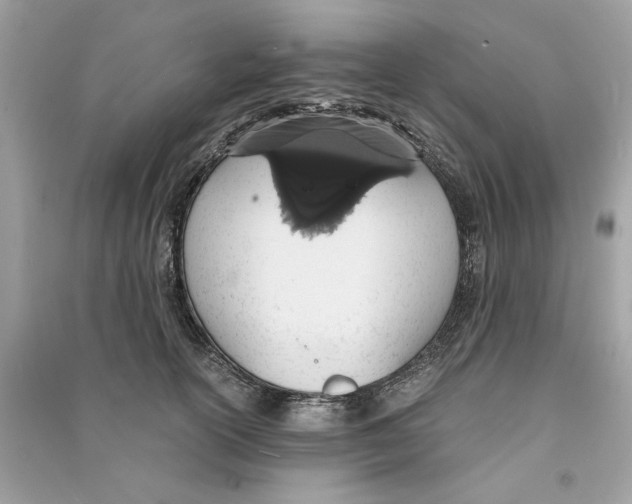 X0000090740754200708101702