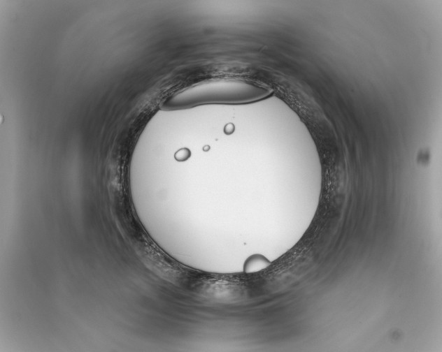 X0000090740755200708101702