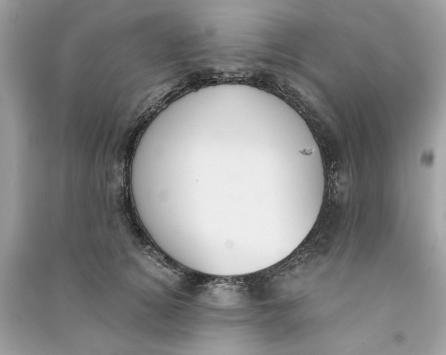 X0000090740756200708101702