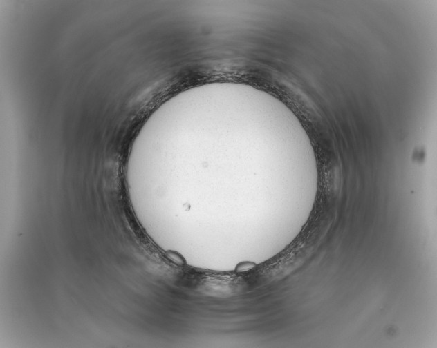 X0000090740757200708101702