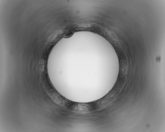 X0000090740758200708101702