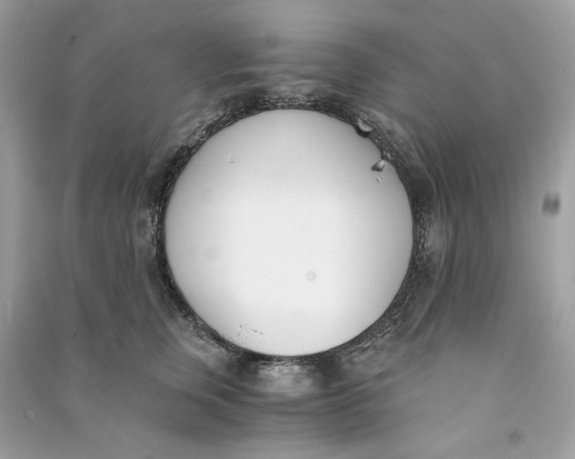 X0000090740759200708101702