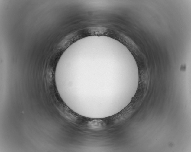 X0000090740761200708101702