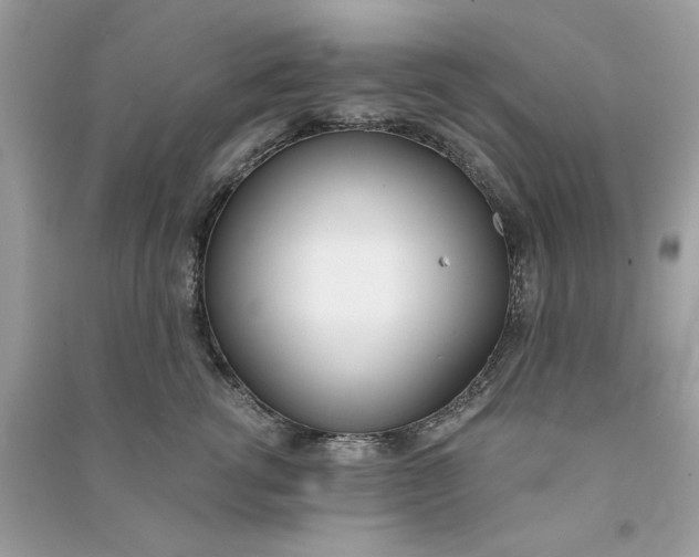 X0000090740762200708101702