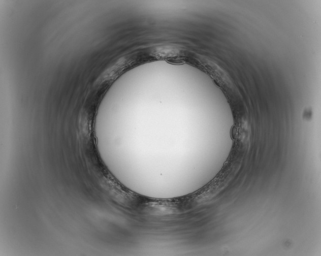 X0000090740763200708101702