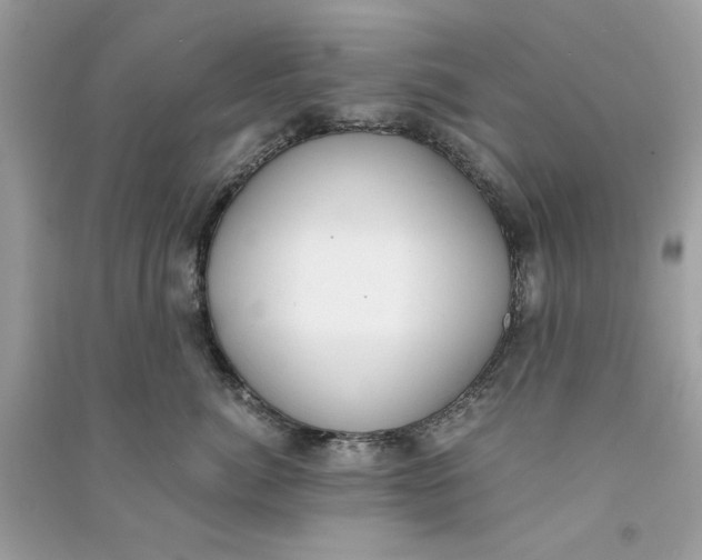 X0000090740764200708101702