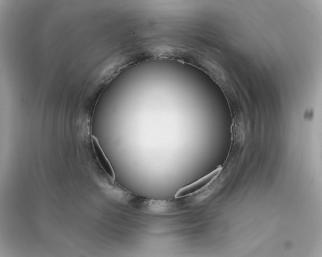 X0000090740766200708101703