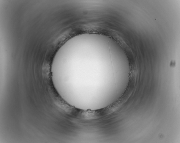 X0000090740767200708101703